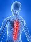 New Treatment for Low Back Pain<br />
