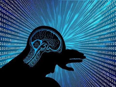 Brain Binary Silhouette Head  - geralt / Pixabay