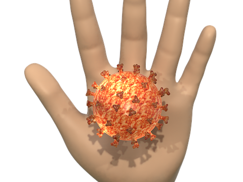 Infection Covid Coronavirus Virus  - Voxelimage / Pixabay