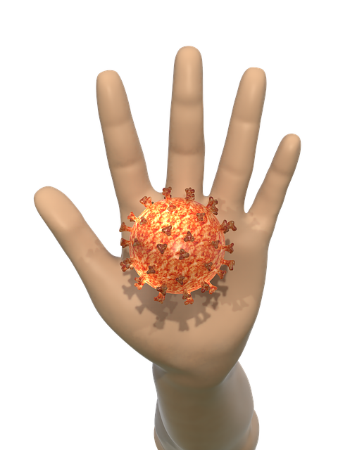 Infection Covid Coronavirus Virus  - Voxelimage / Pixabay