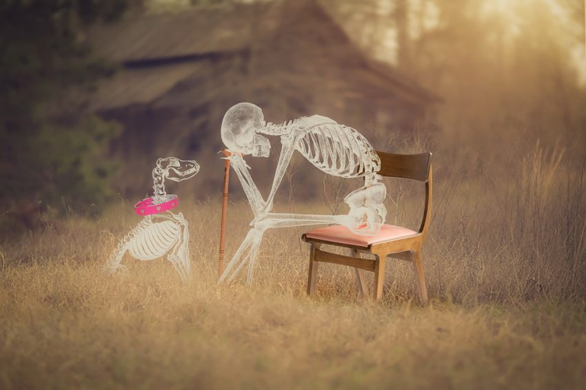 Man Skeleton Dog Skull Spooky  - BiancavanDijk / Pixabay