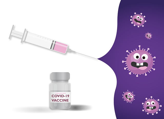 Vaccination Injection Coronavirus  - Alexandra_Koch / Pixabay